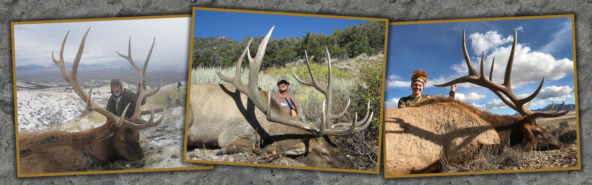 Nevada Elk Hunts